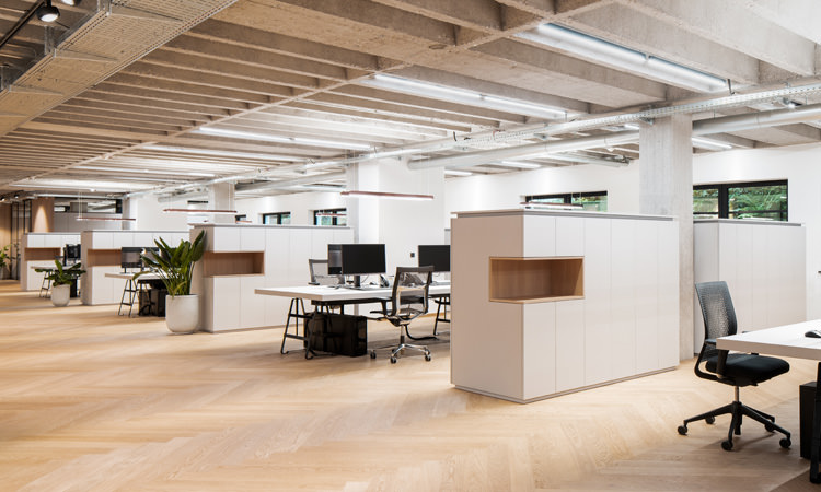 This beautiful open-plan offices can look