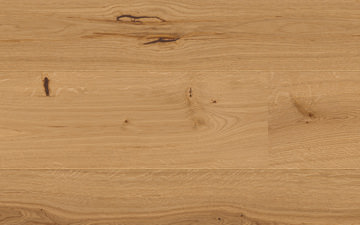 Oak nature