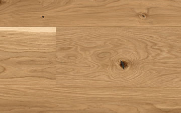 Oak Nature
