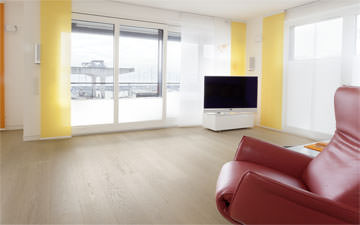 Bodan-Werft Bild 4