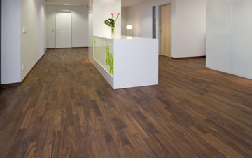 Reception area at df.mp with single strip in Walnut
