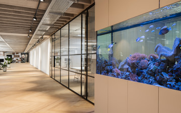 Another view into this modern office design